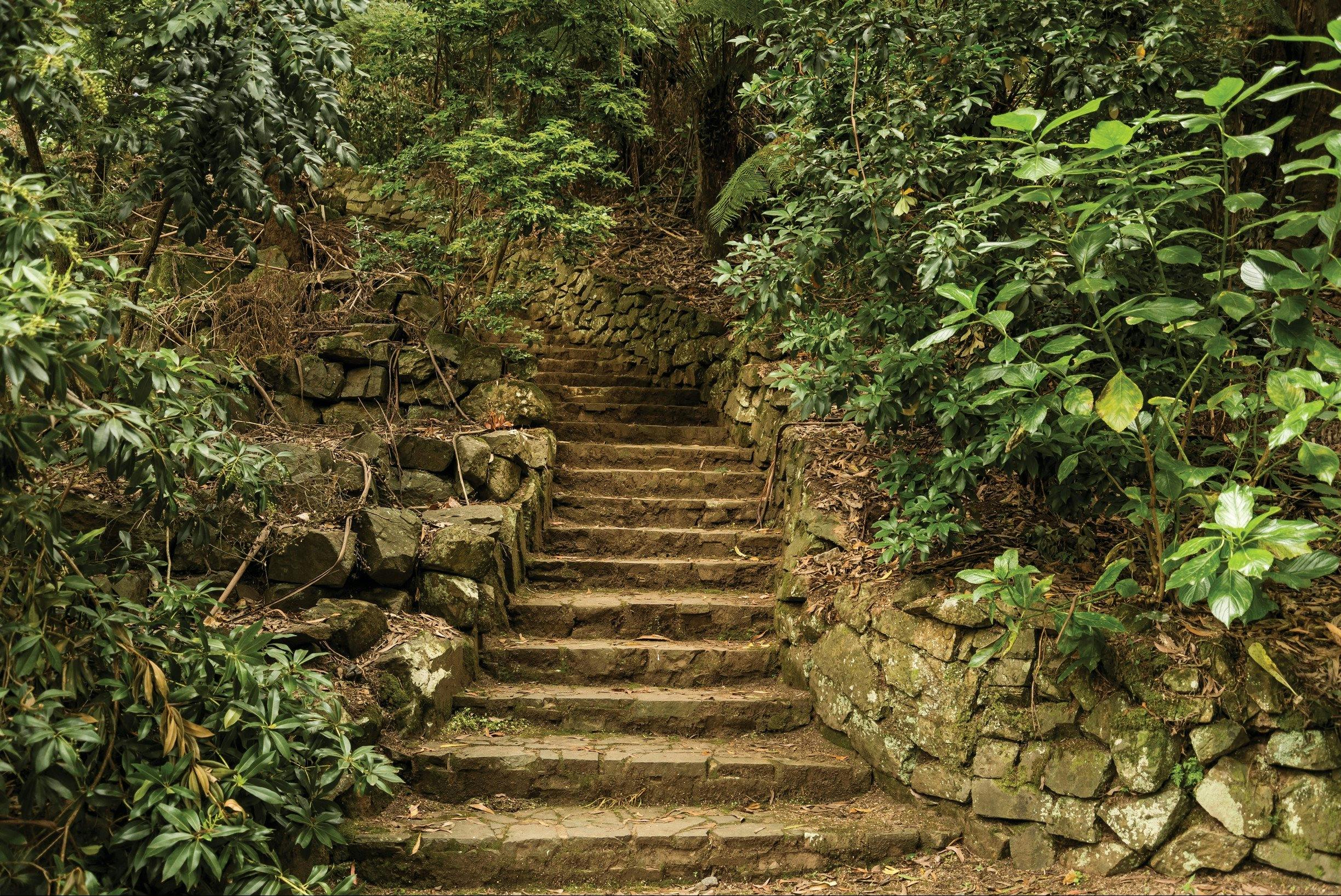 Wiliam Ricketts Sanctuary, Dandenong Ranges