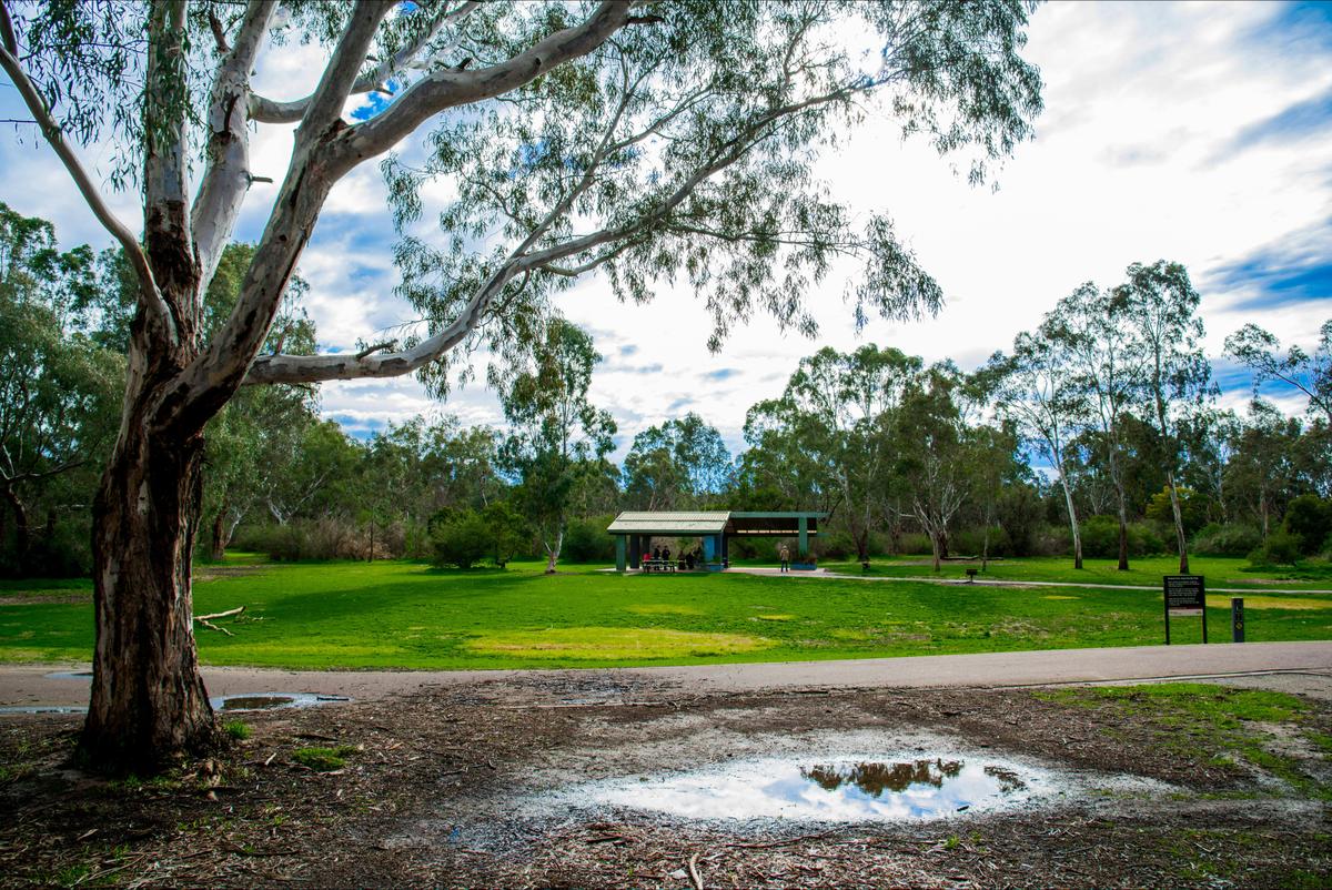 Birrarrung Park