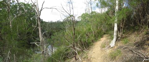 Warrandyte State Park