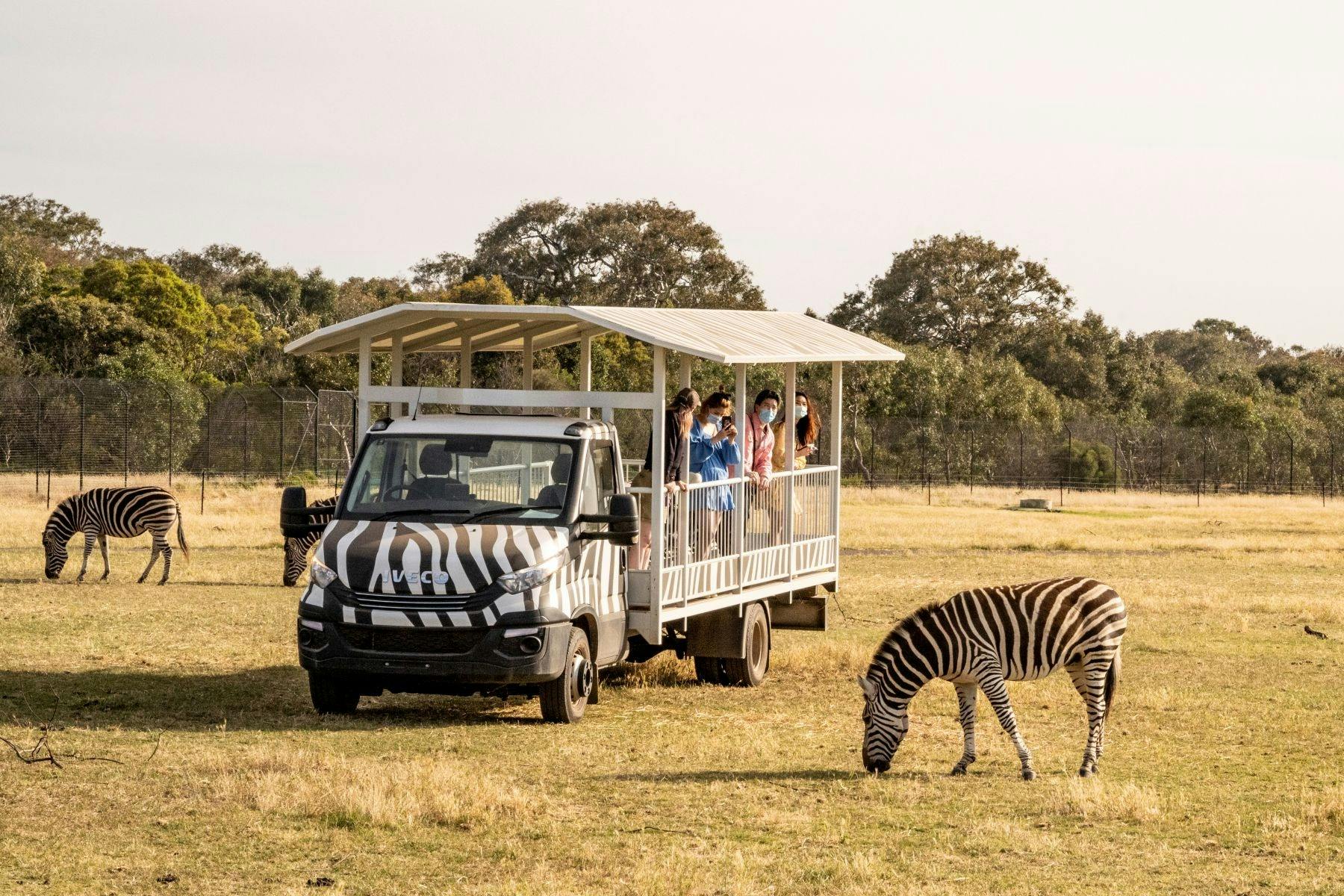 Werribee Open Range Zoo Tours