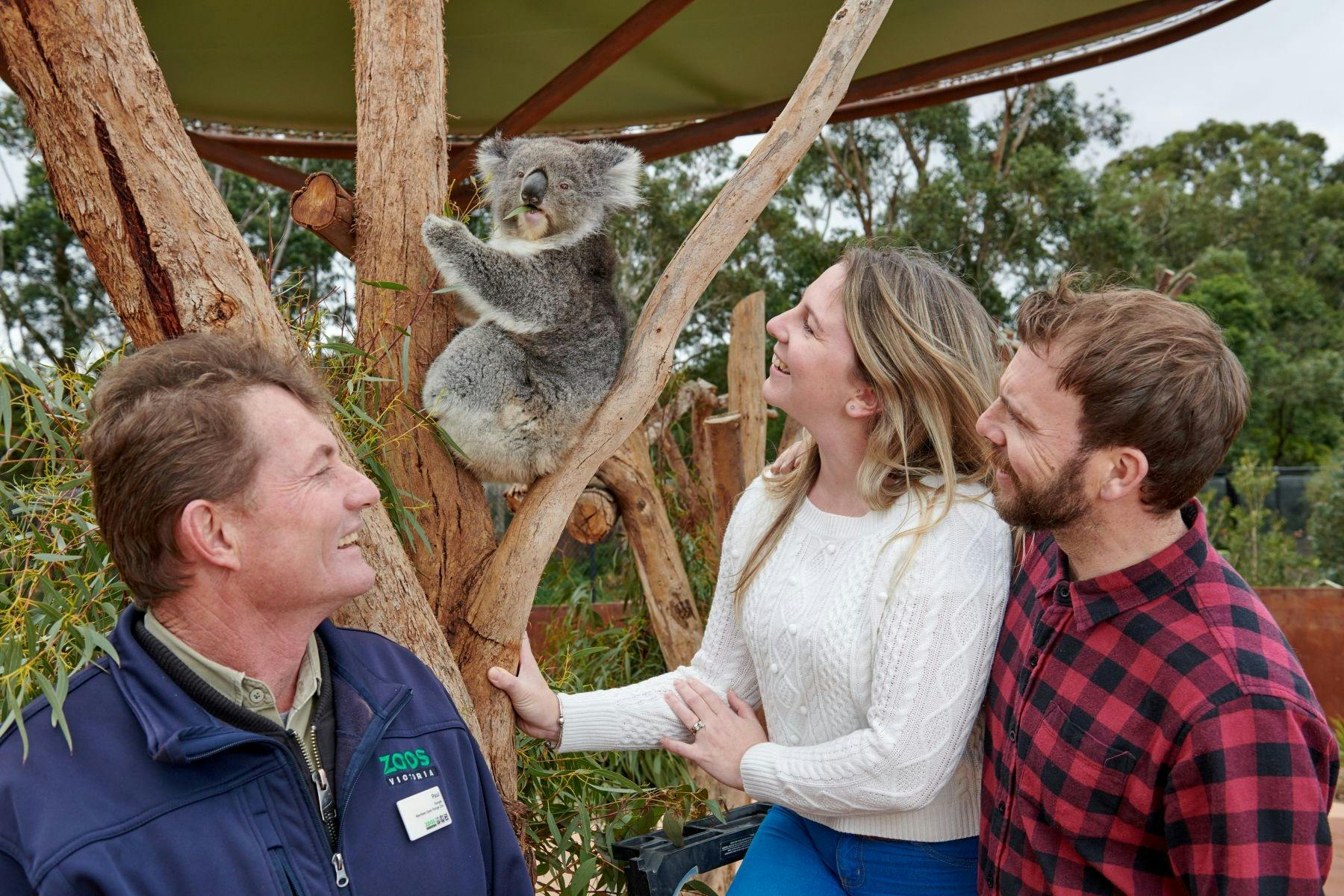 Werribee Open Range Zoo Tours