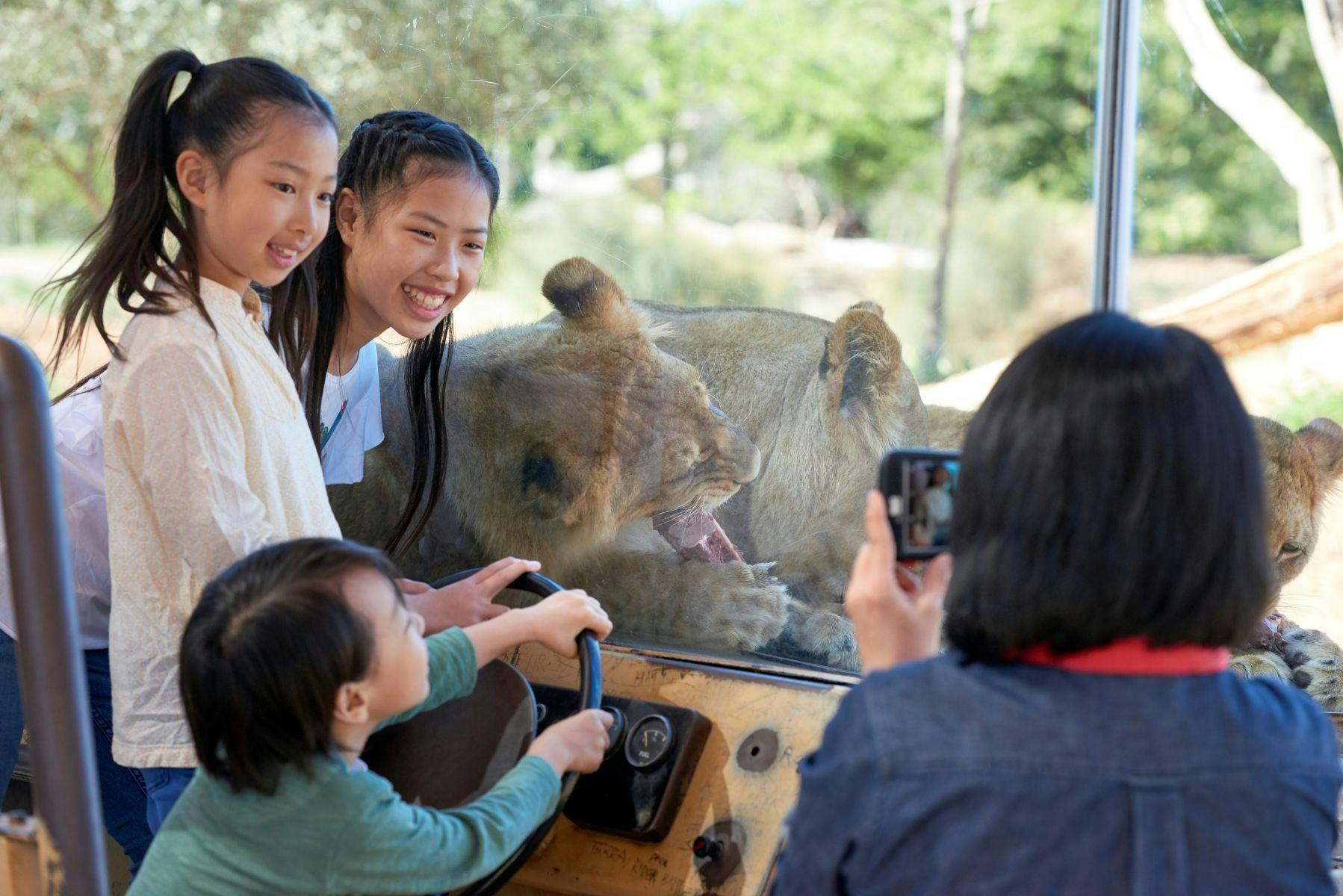 Werribee Open Range Zoo Tours