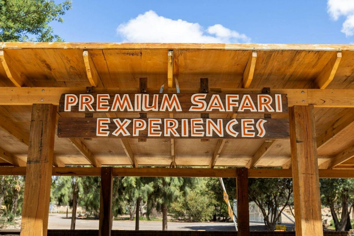 Deluxe Safari Adventure