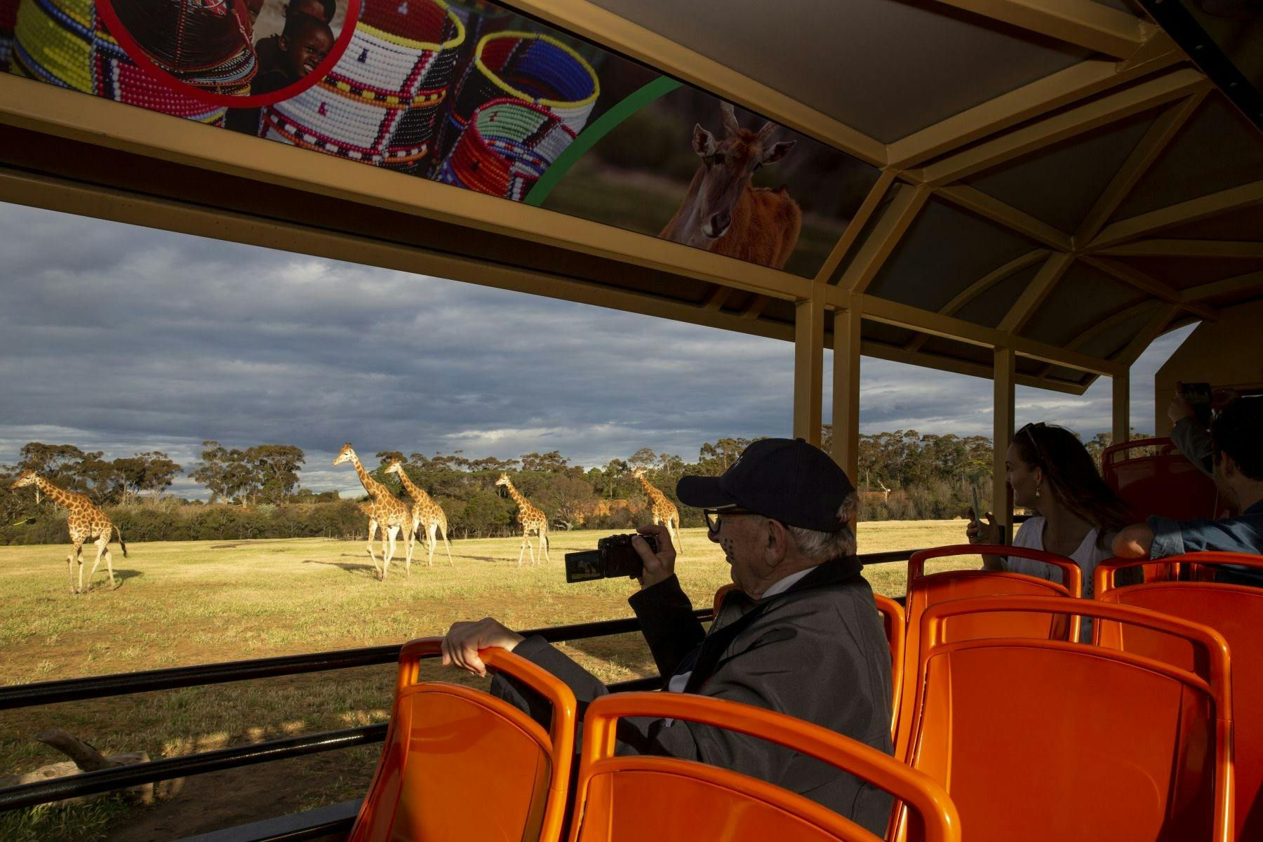 Werribee Open Range Zoo Tours