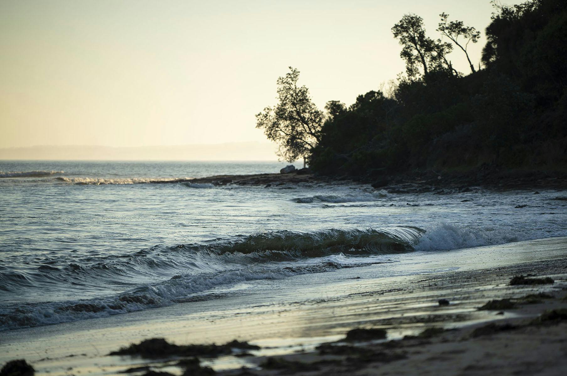 Evening on the beach