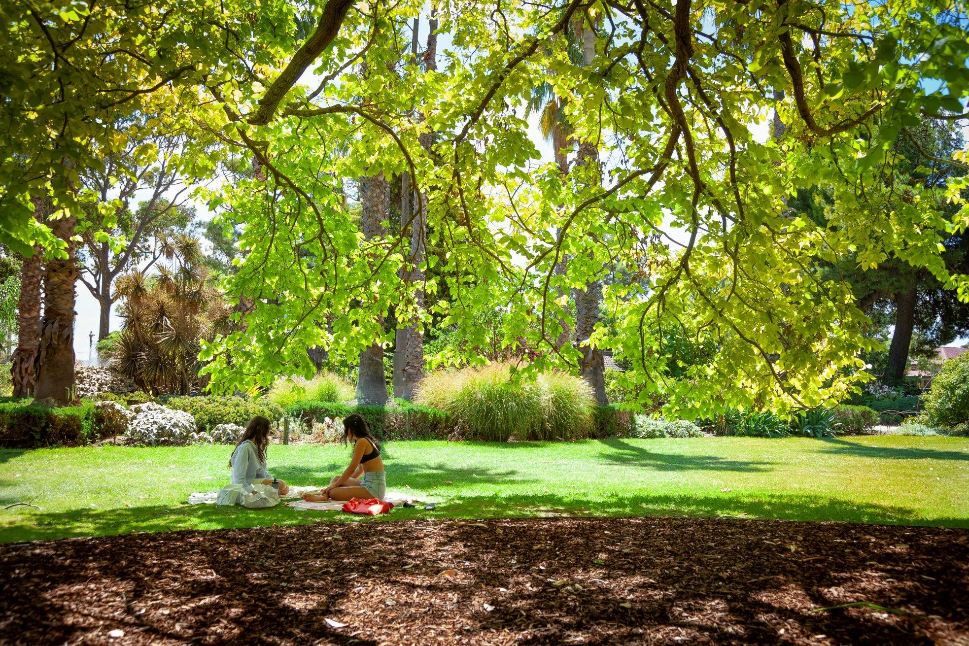 Williamstown Botanic Gardens picnic