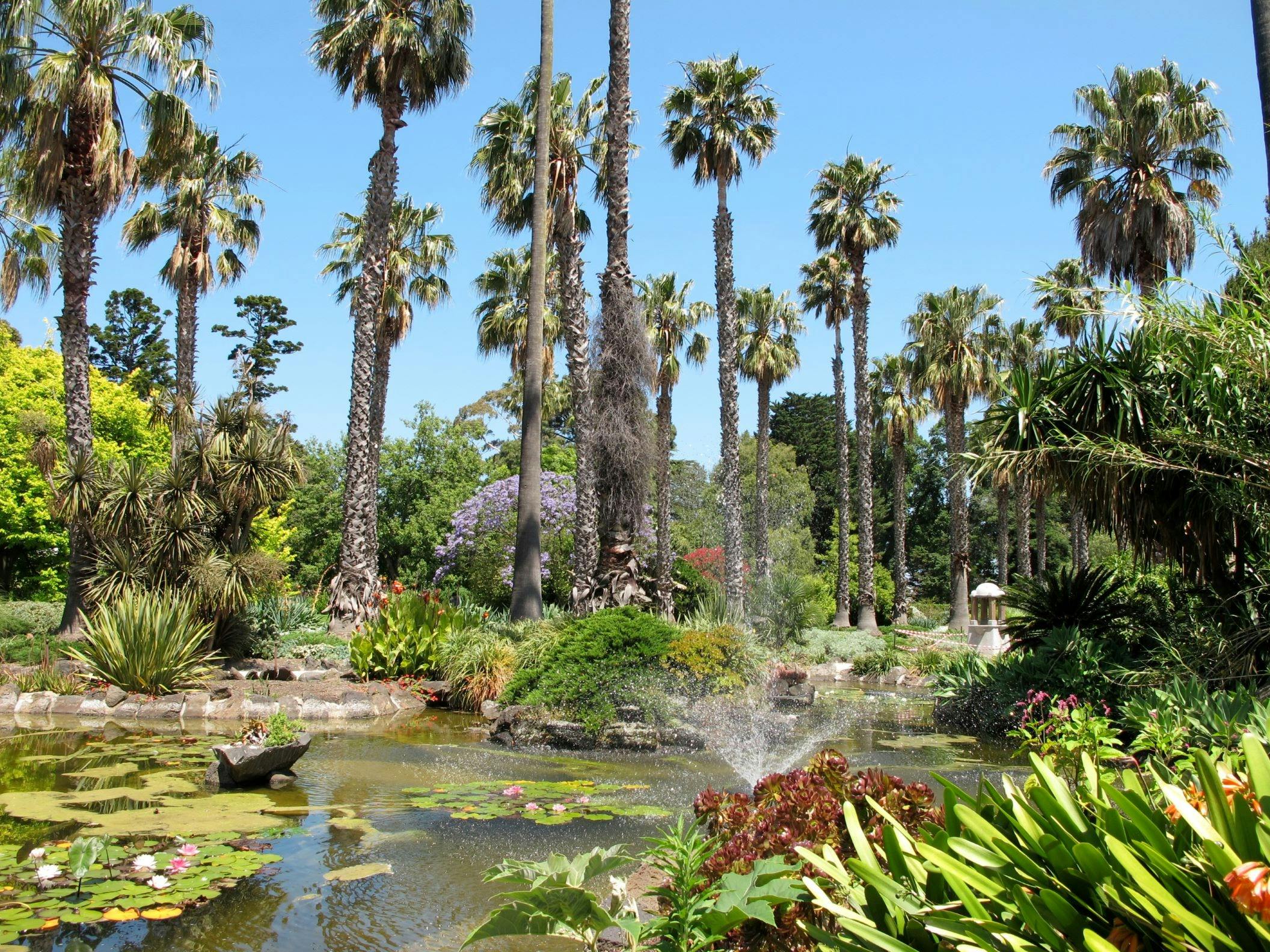 Williamstown Botanic Gardens pond