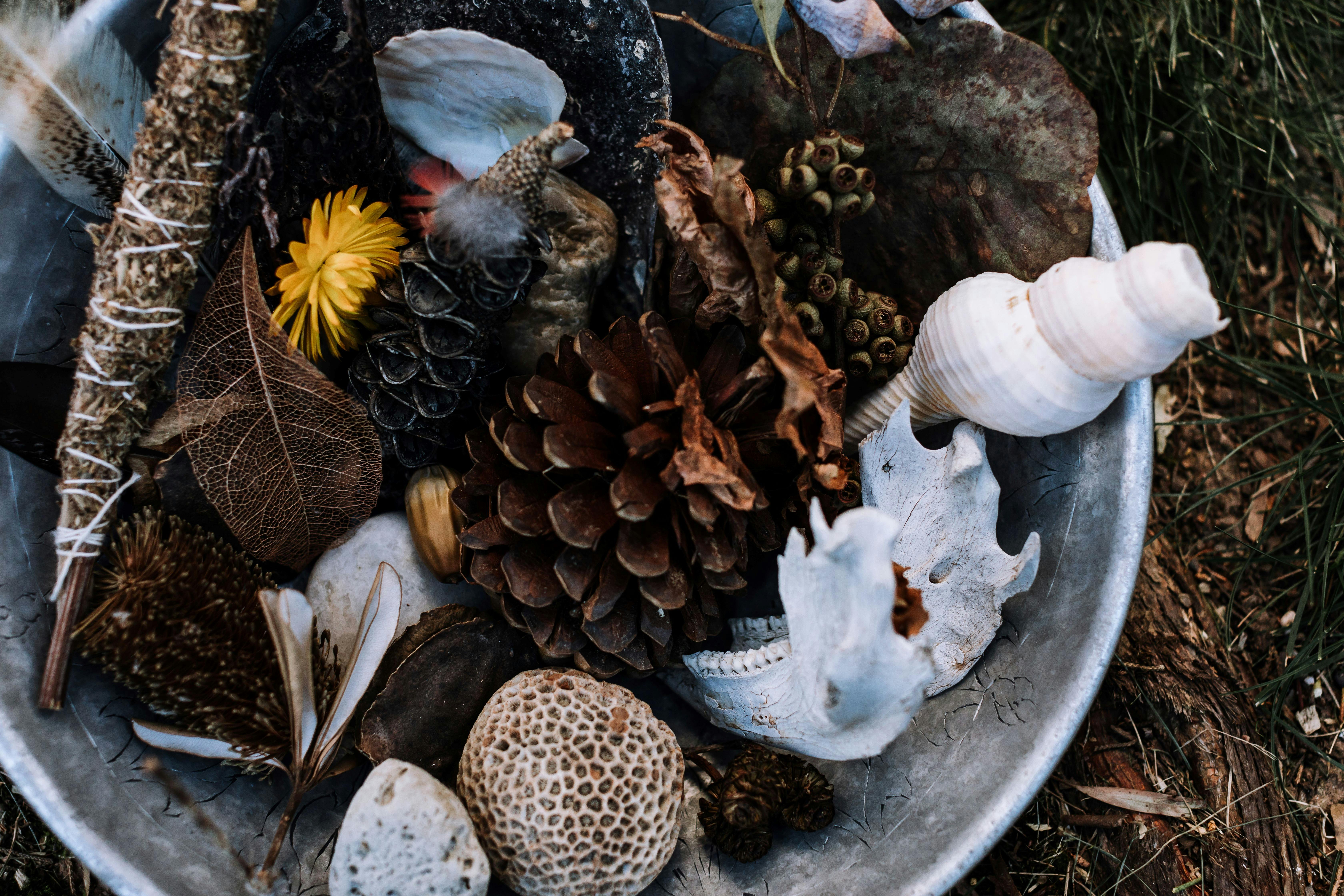 Earth-woven, nature connected & inspired work