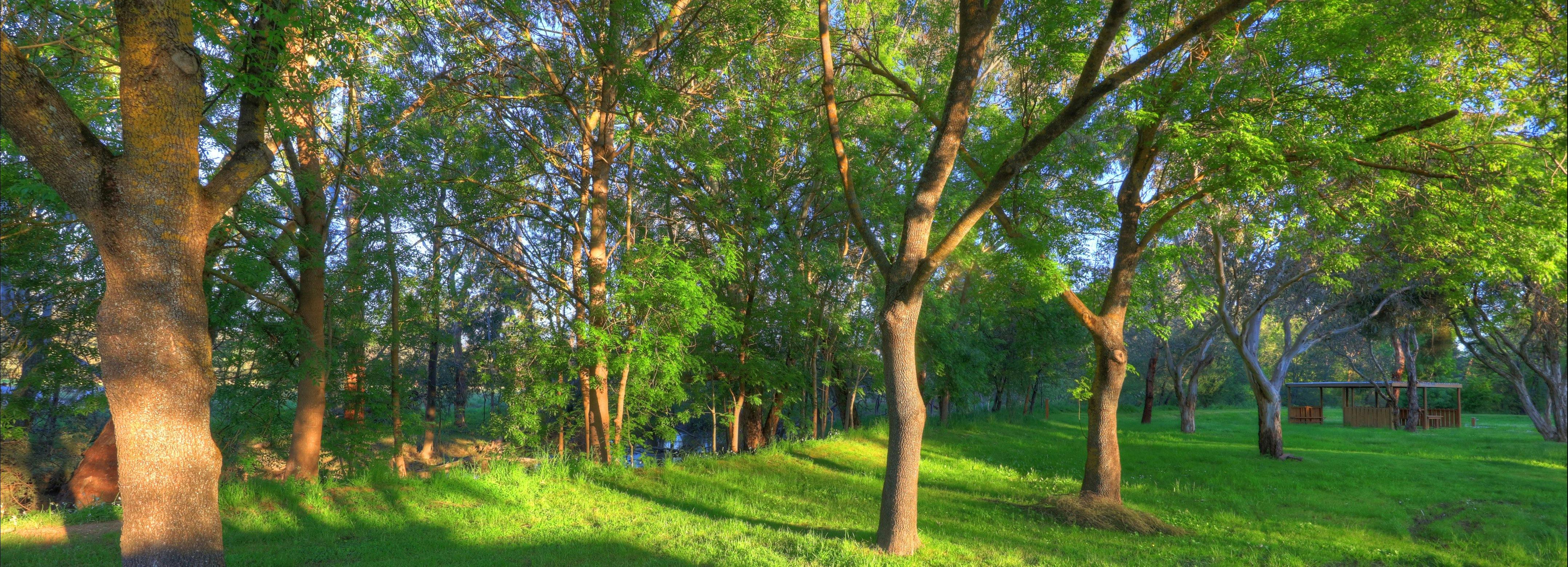 Yea Riverside Caravan Park Camping Area