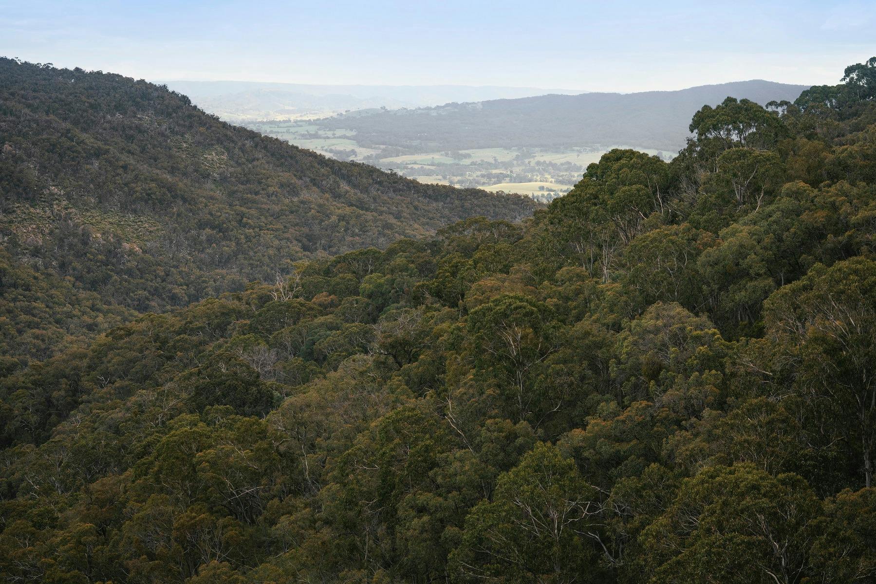 Views from the top of Wild Dog Falls