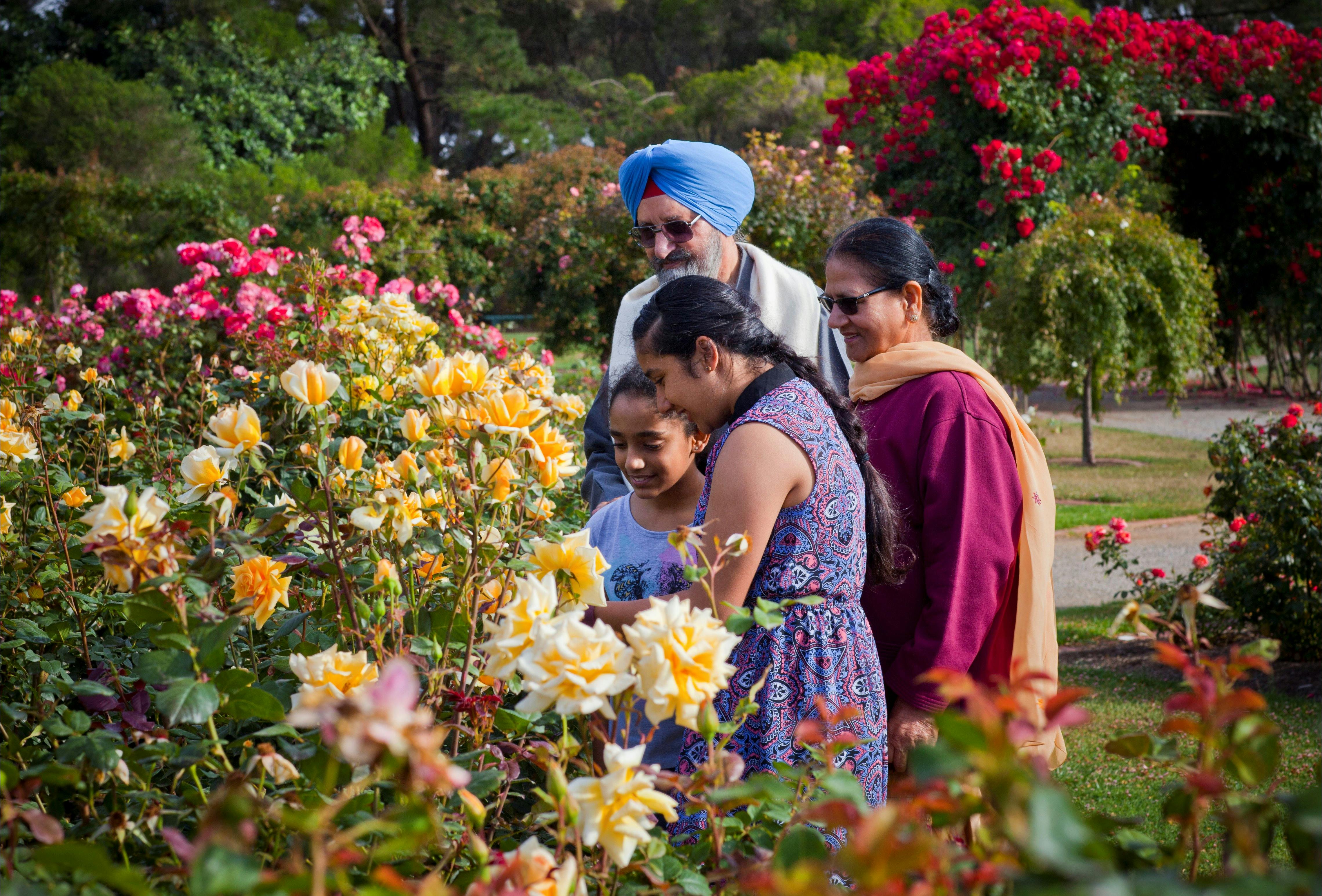 The rose garden at Werribee Park