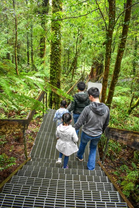 Yarra Ranges National Park