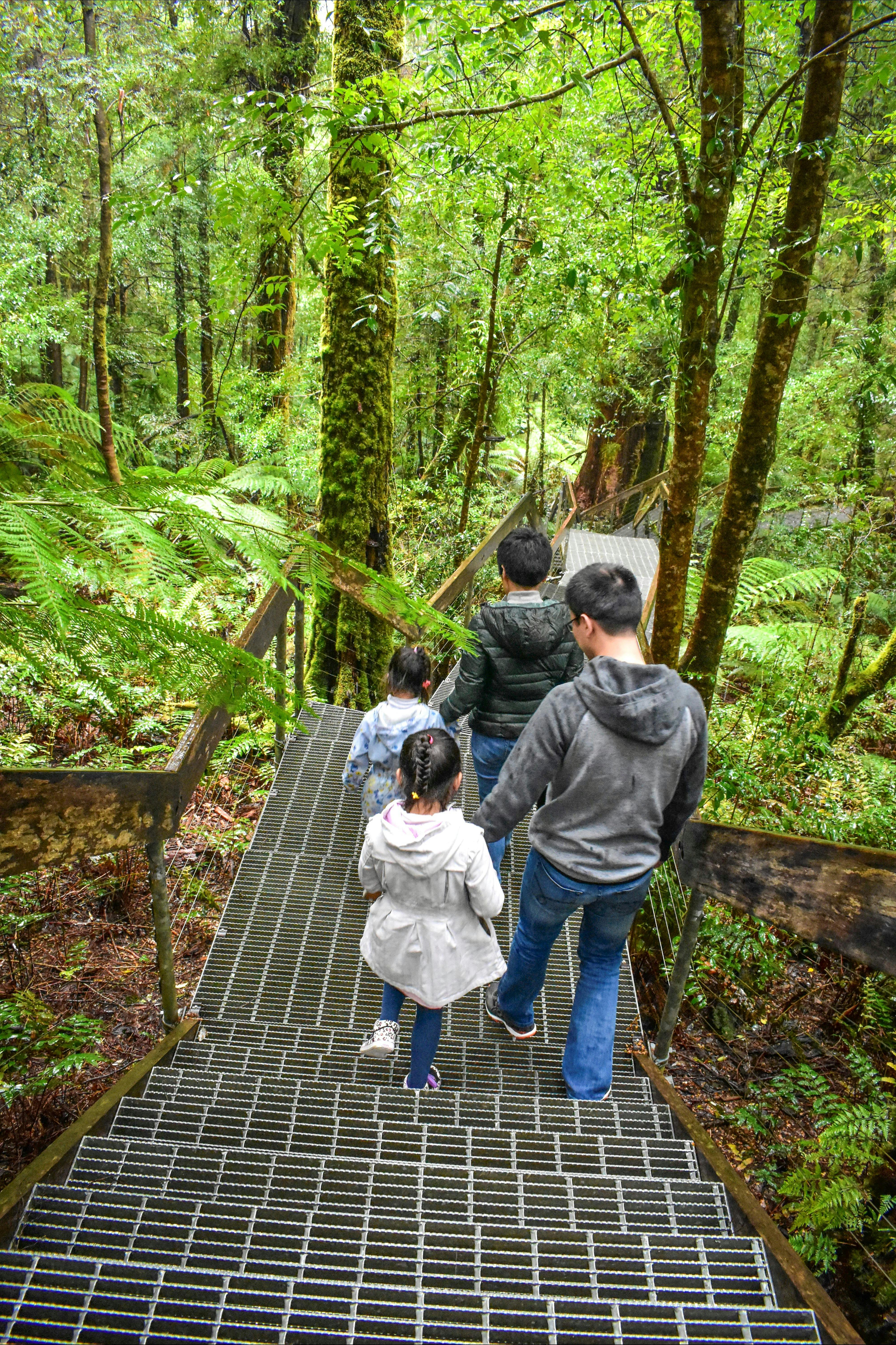 Yarra Ranges National Park