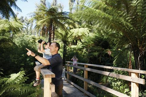 Yarra Ranges National Park