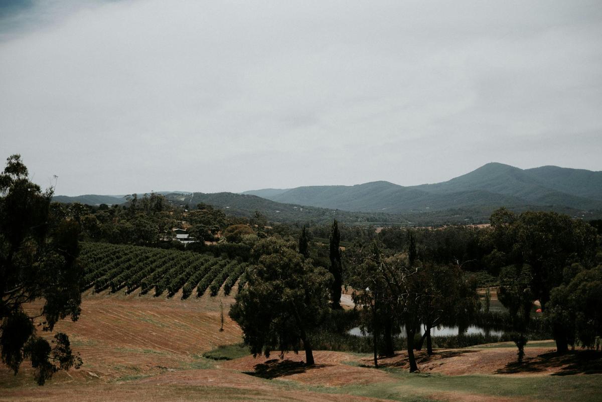 Yarra Valley Touring views