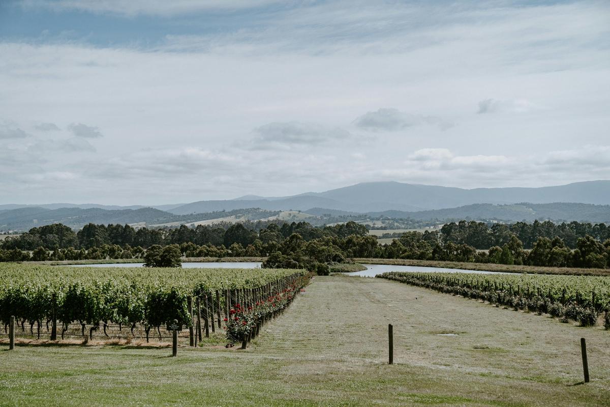 Yarra Valley Touring Chandon Landscape