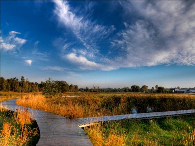 Junee Urban Wetlands