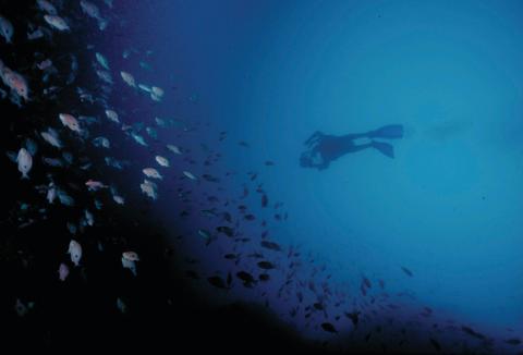 Wilsons Promontory Marine National Park