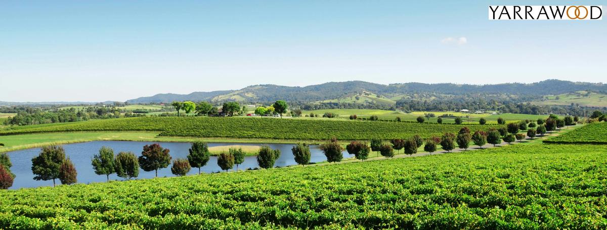 Yarrawood Estate - Overview