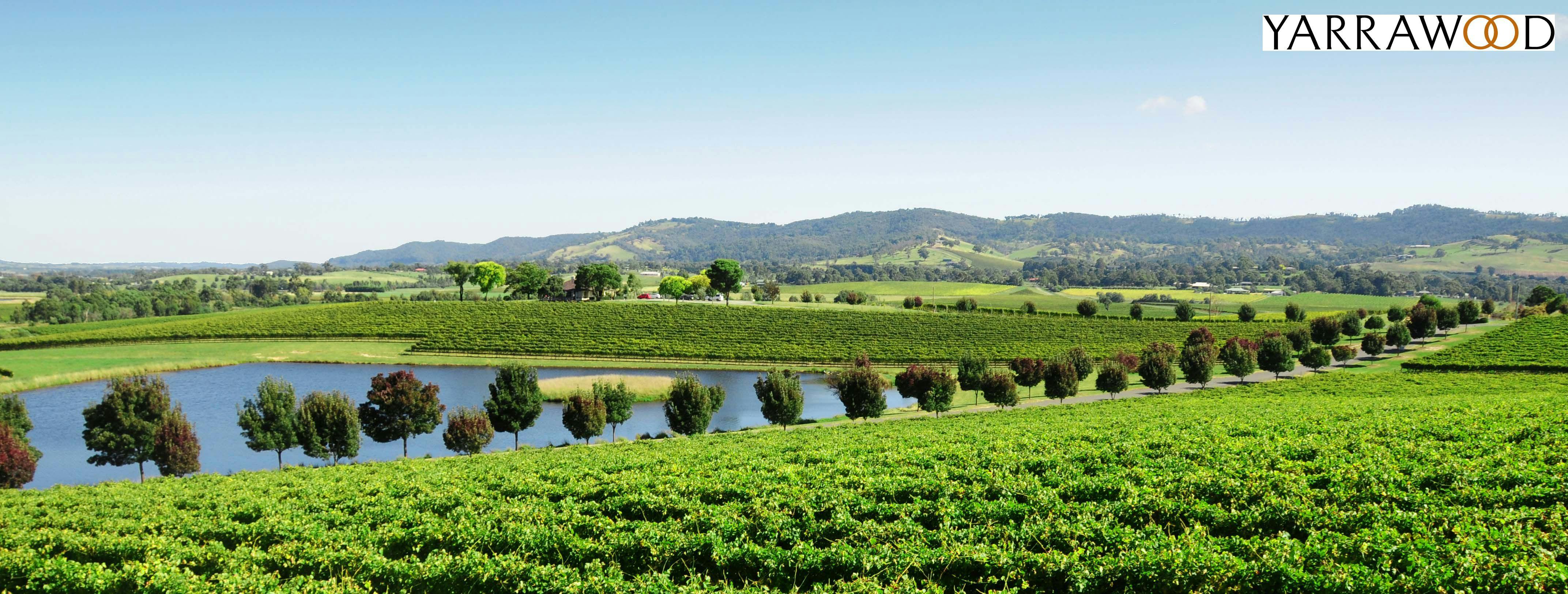 Yarrawood Estate - Overview