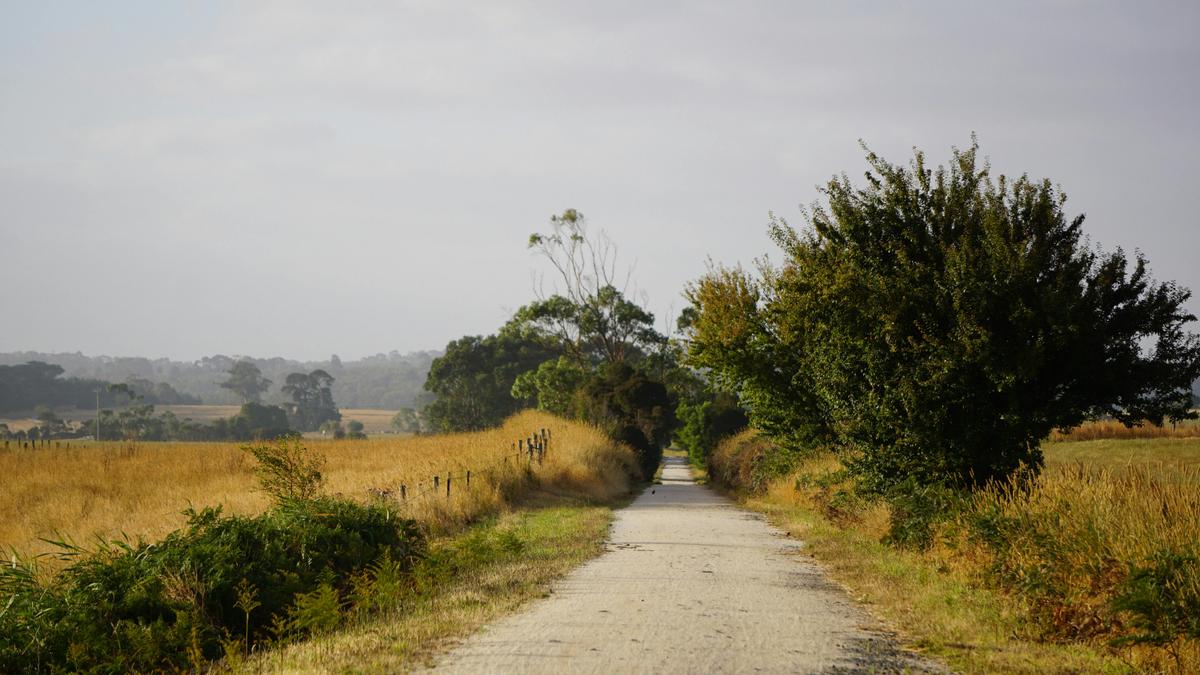 Views on the Great Southern Rail Trail
