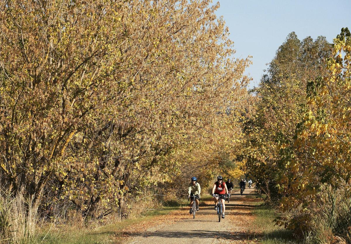Cycling the Murray to Mountains Rail Trail