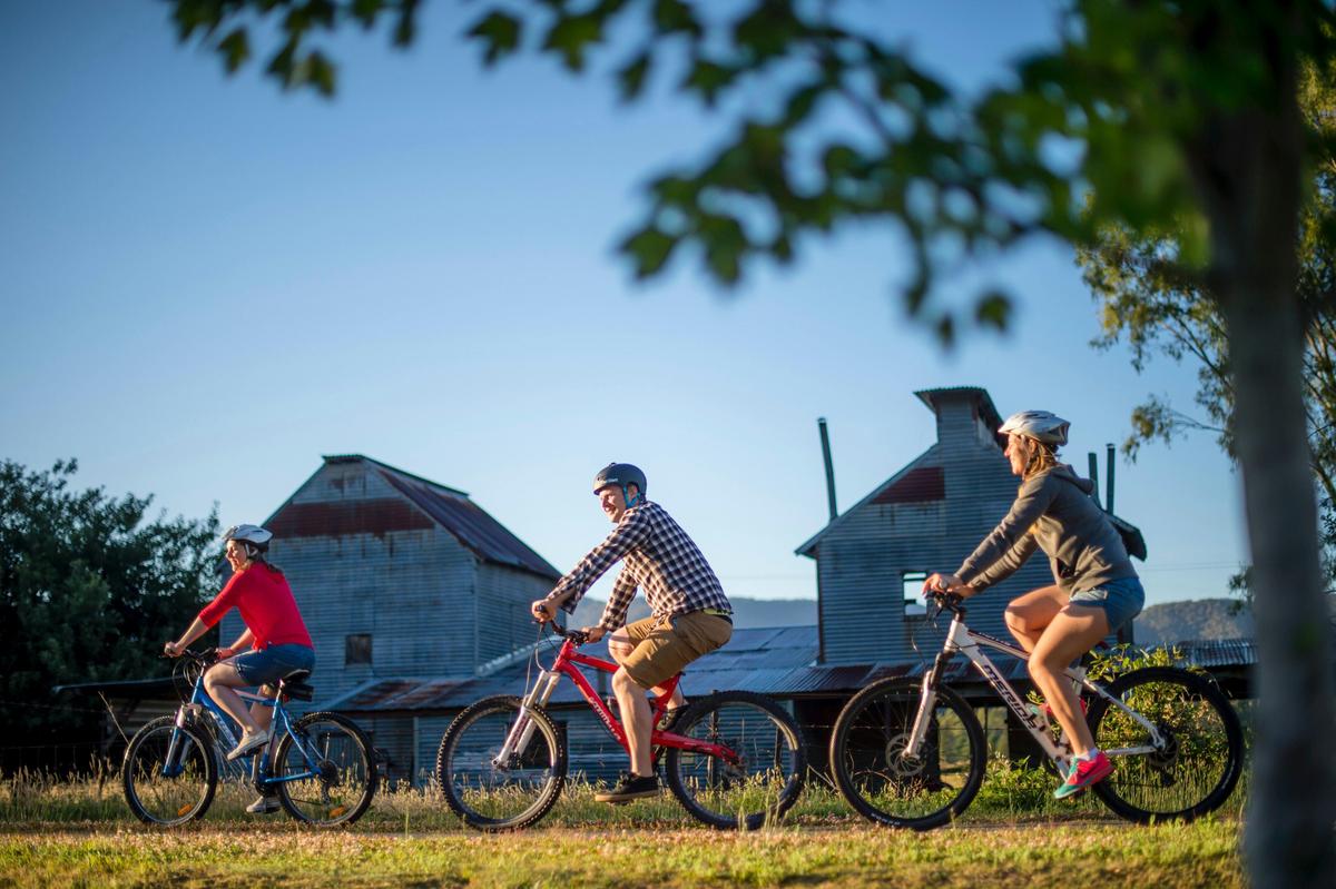 Cycling past old tobacco kilns in Myrtelford on the Murray to Mountains Rail Trail