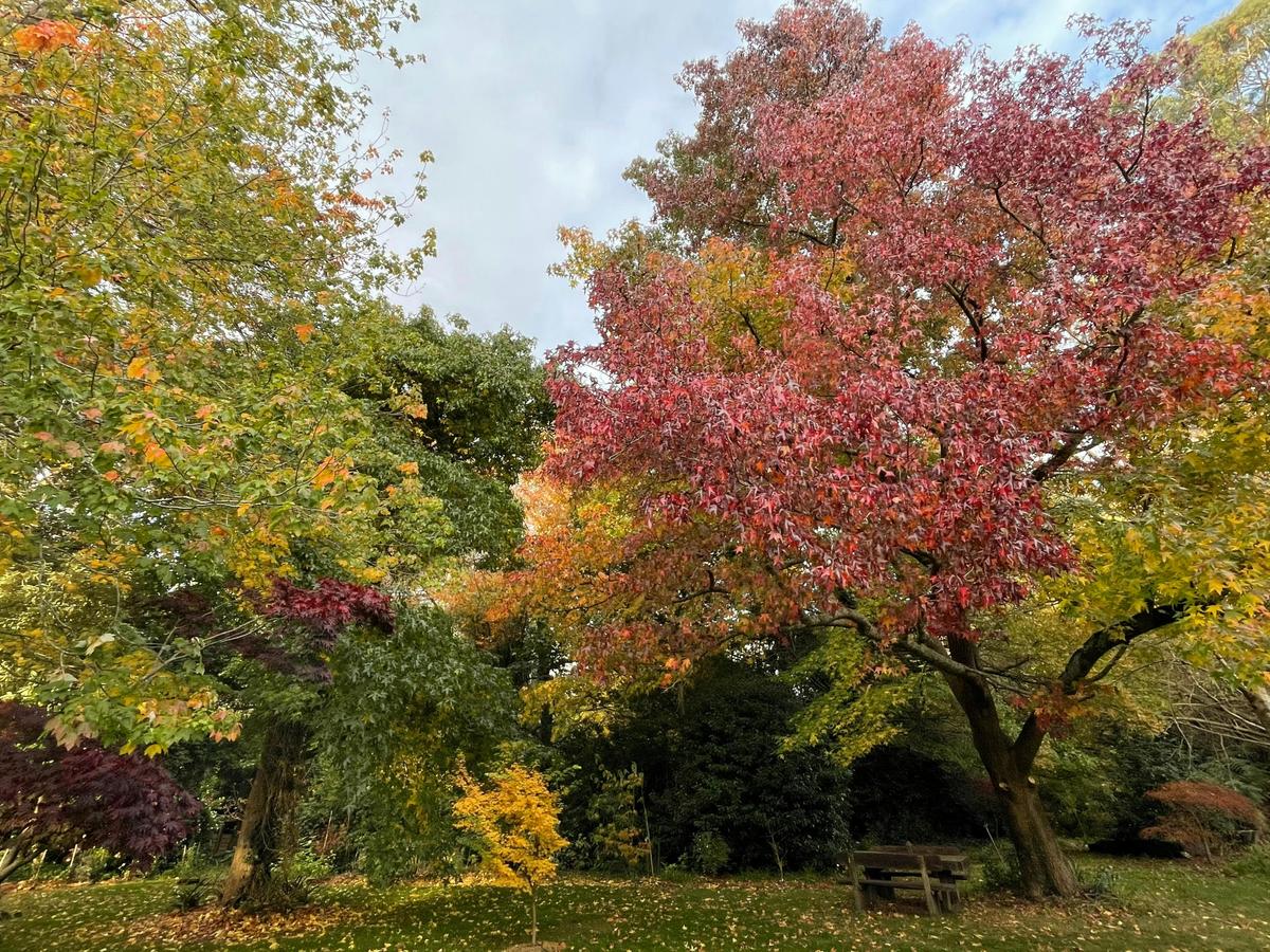 Willowglade Retreat and Gardens in Mount Macedon