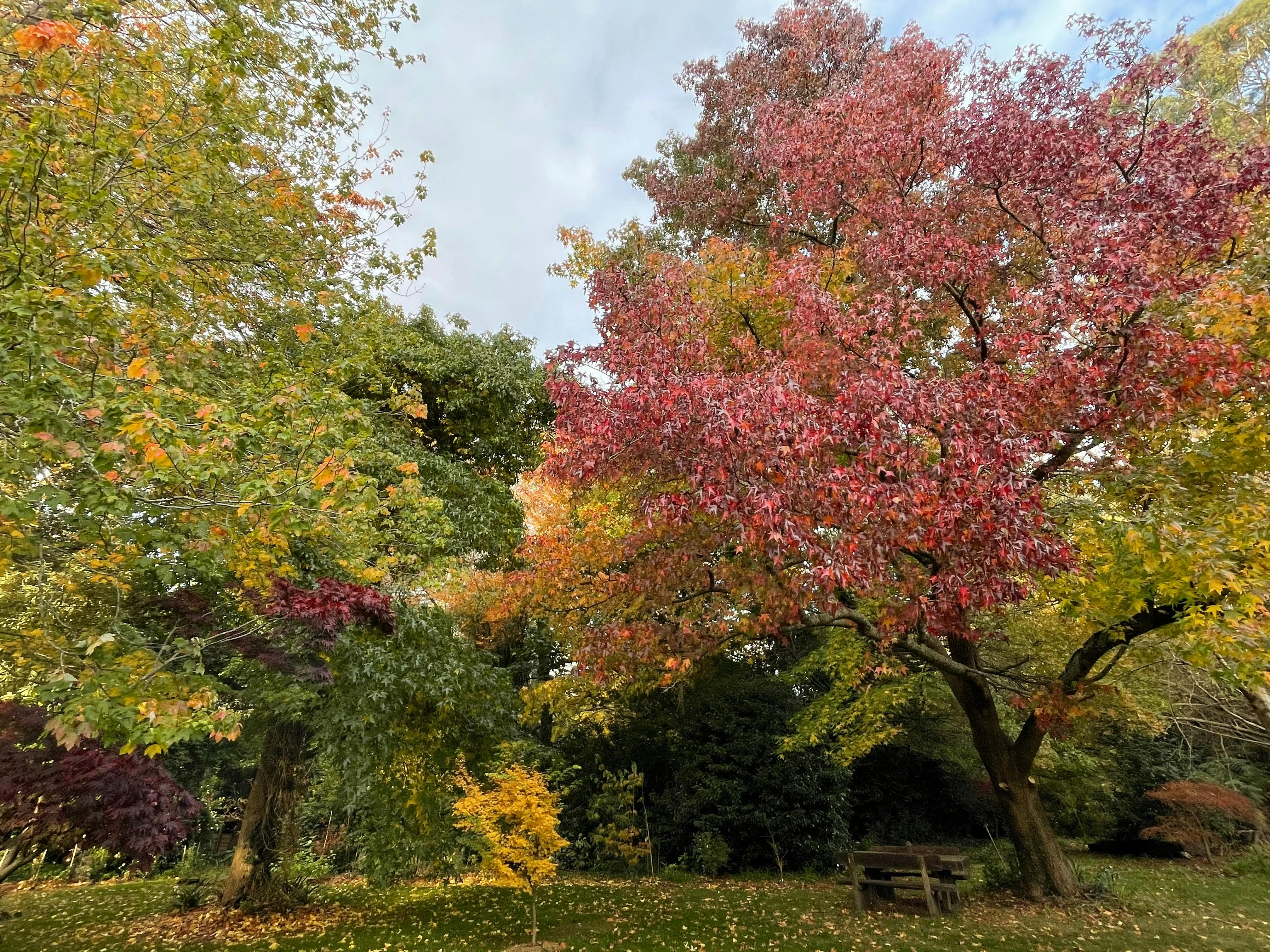Willowglade Retreat and Gardens in Mount Macedon
