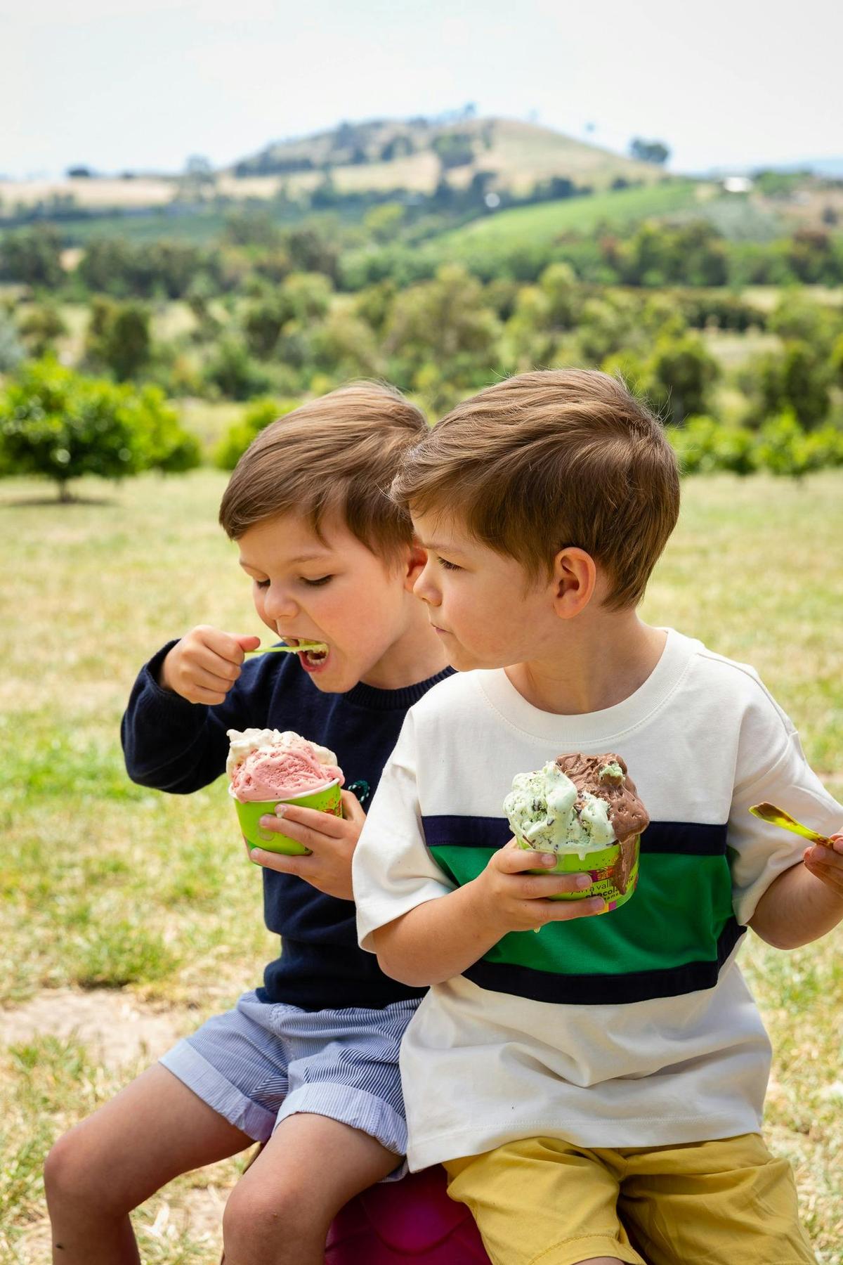 Ice creams