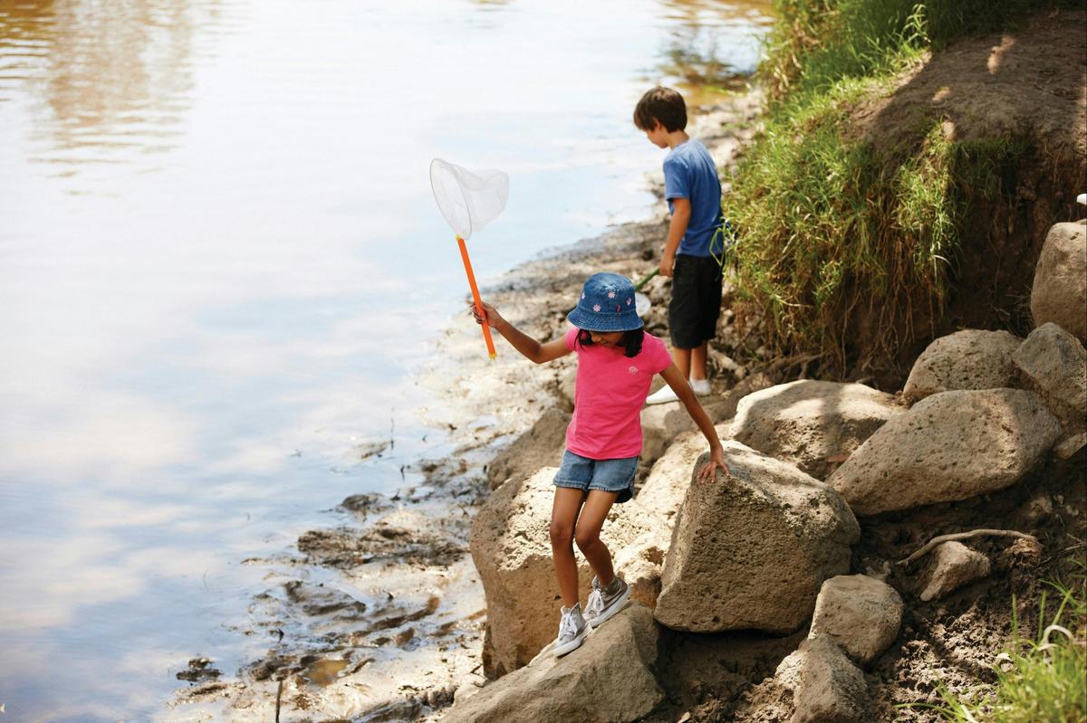 Yarra Bend Park