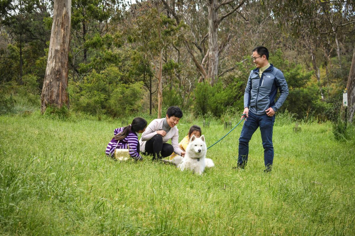 Yarra Bend Park
