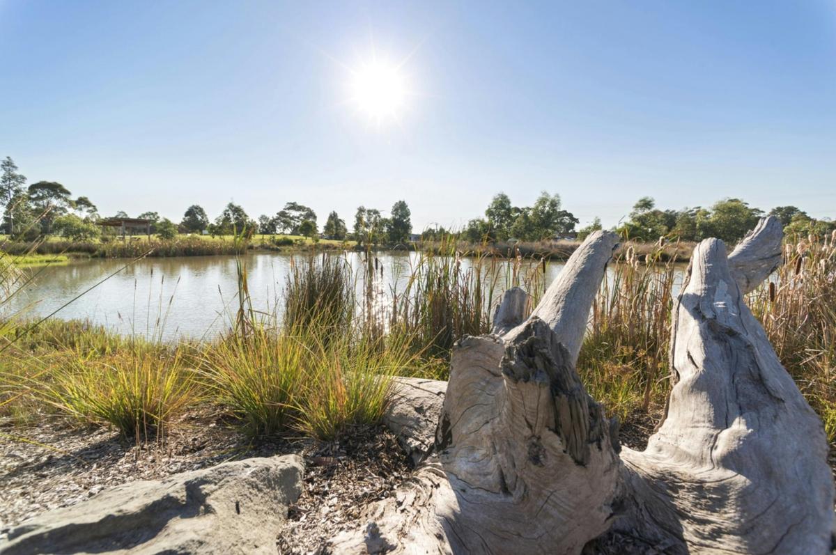 Yarram Wetlands Park and Walking Trail