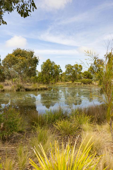 Yarram Wetlands Park and Walking Trail