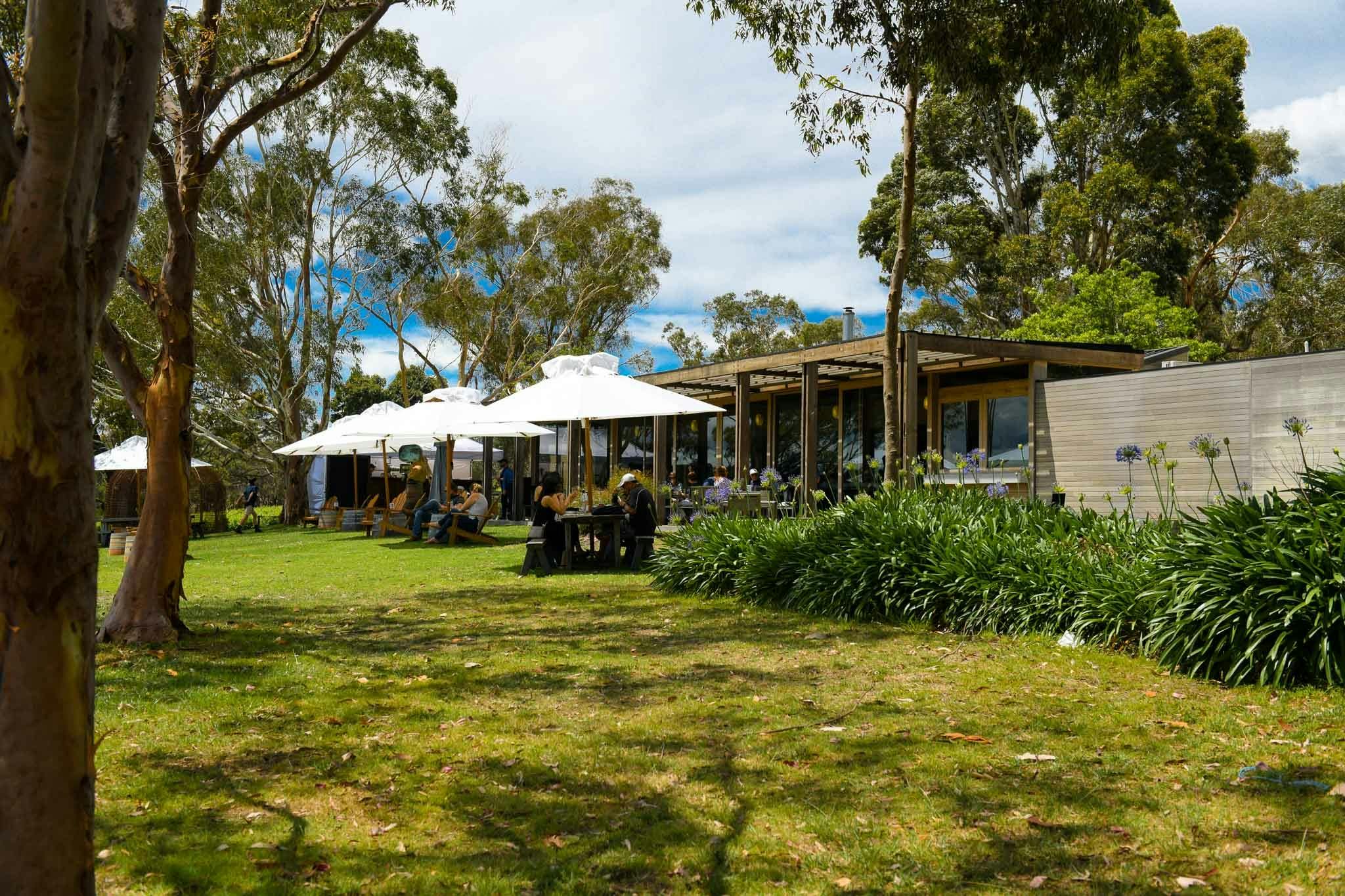 Dining outdoors at Yabby Lake