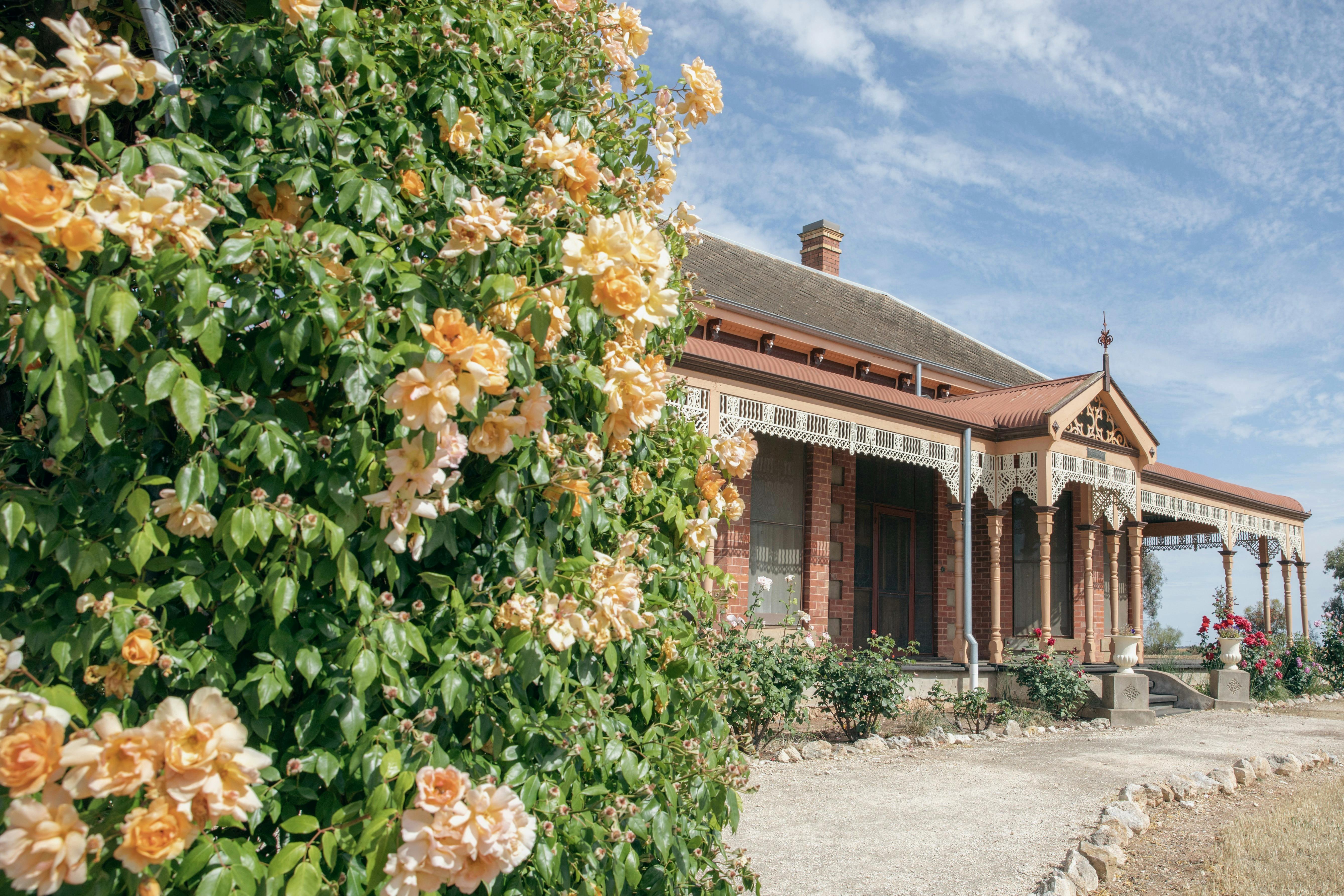 Yurunga Homestead