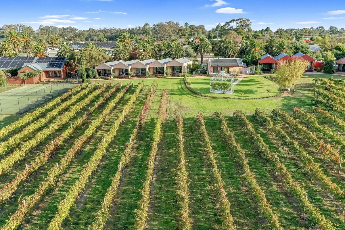 Tuileries vineyard accommodation - aerial view