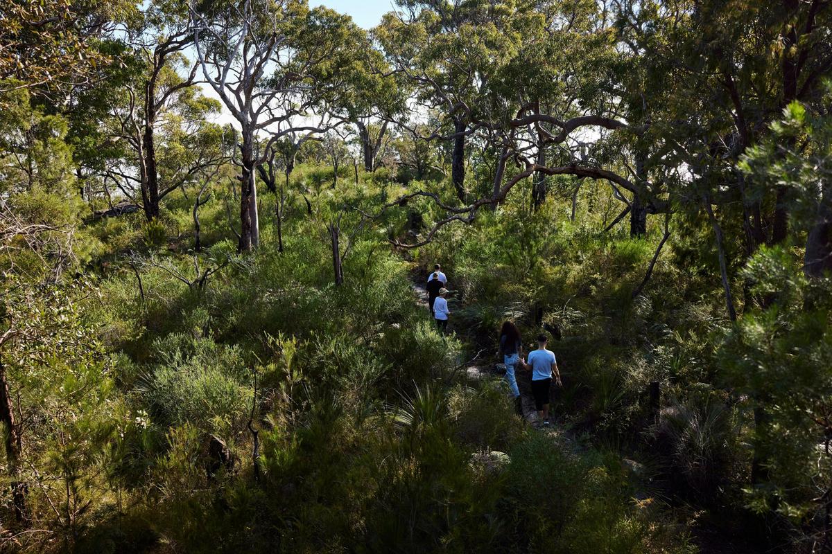 Ku-ring-gai Chase National Park