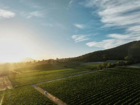 Yarra Yering