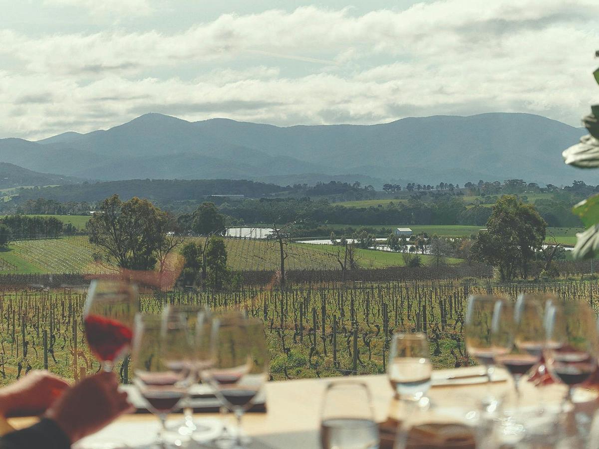 Icons Tasting Experience