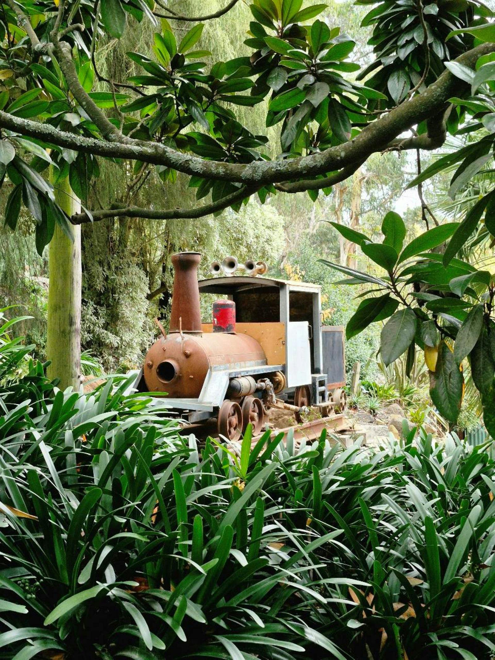 Metal sculpture of a train taken peeking through trees and plants