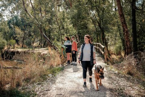 Pet-friendly days out