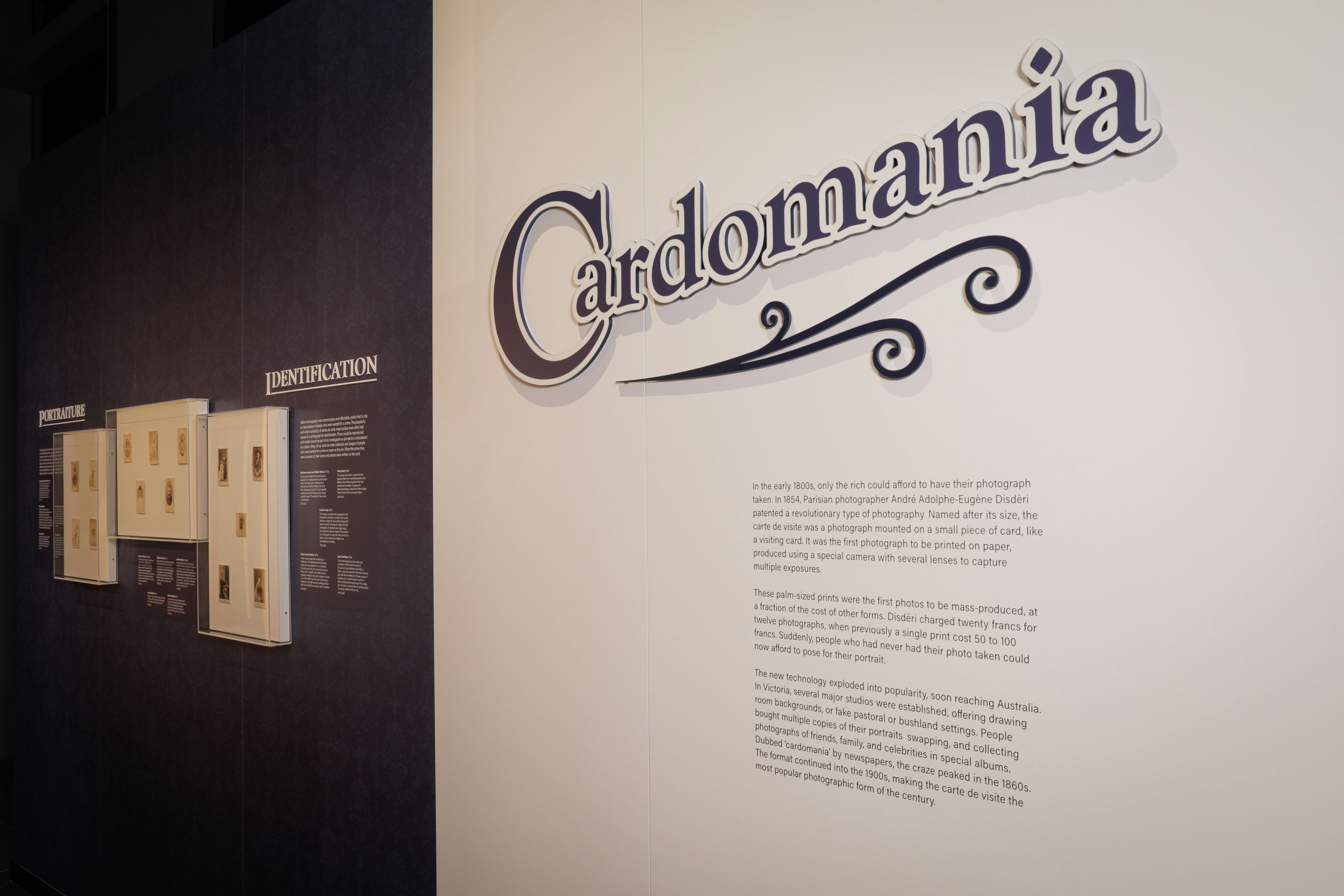 Interior photograph of the current temporary exhibition, Cardomania