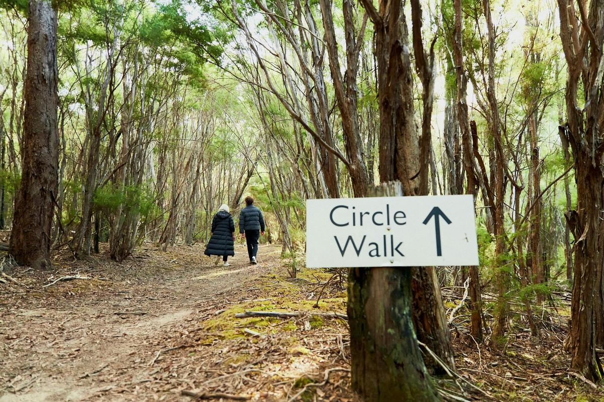 Bushwalking Trail