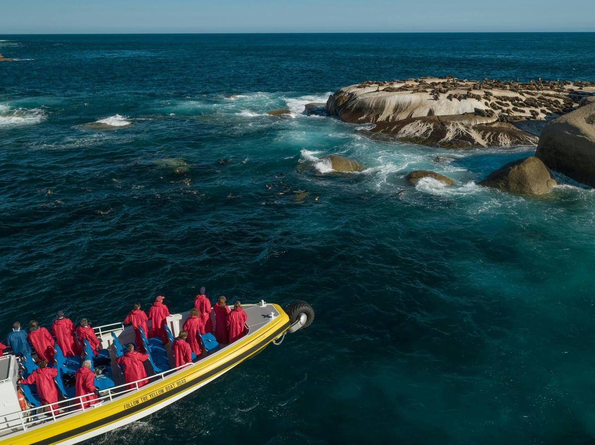 Seal colony and Wilsons Promontory Cruises