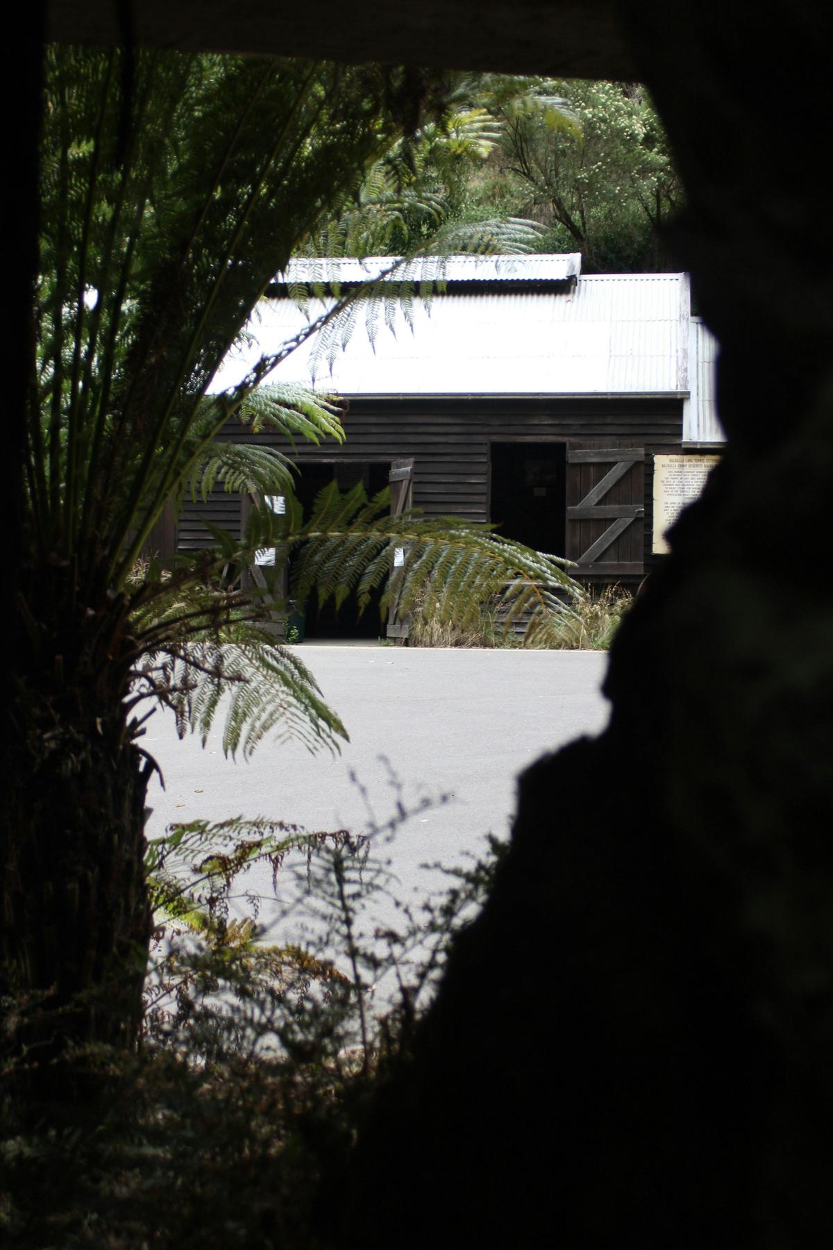 Walhalla Long Tunnel Extended Gold Mine