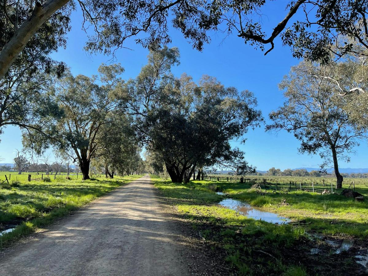 Gravel Road