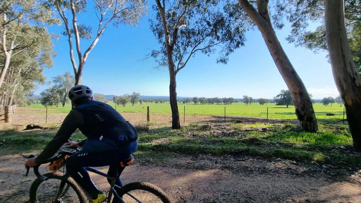 Cyclist