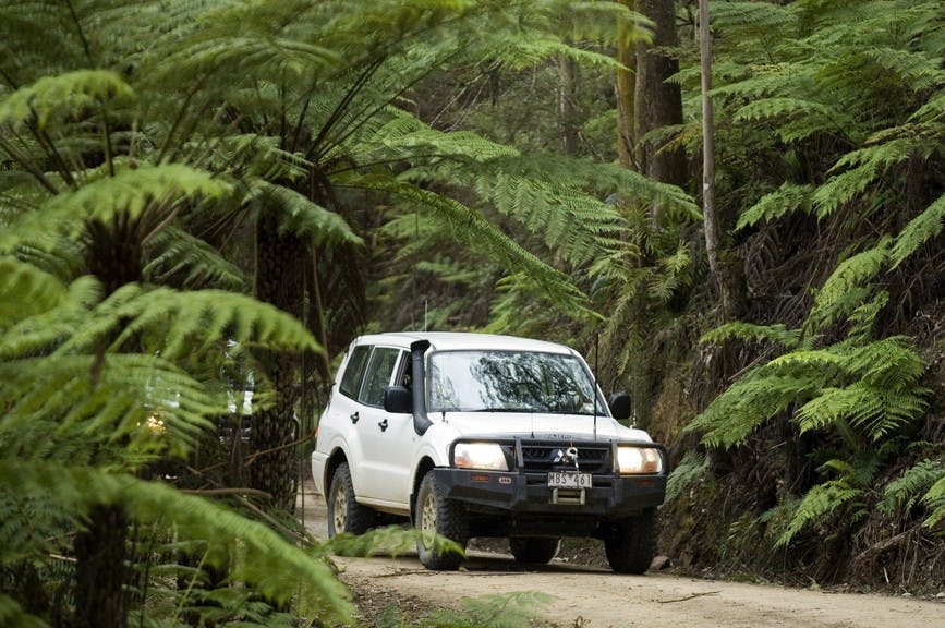 Four Wheel Drive on Brutons Bridge Road, Walhalla