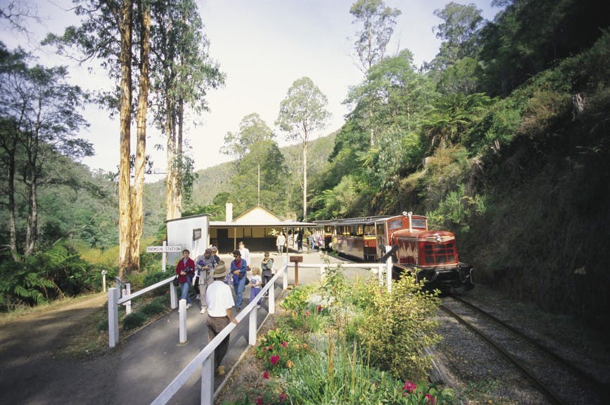 Walhalla Goldfields Railway, Walhalla